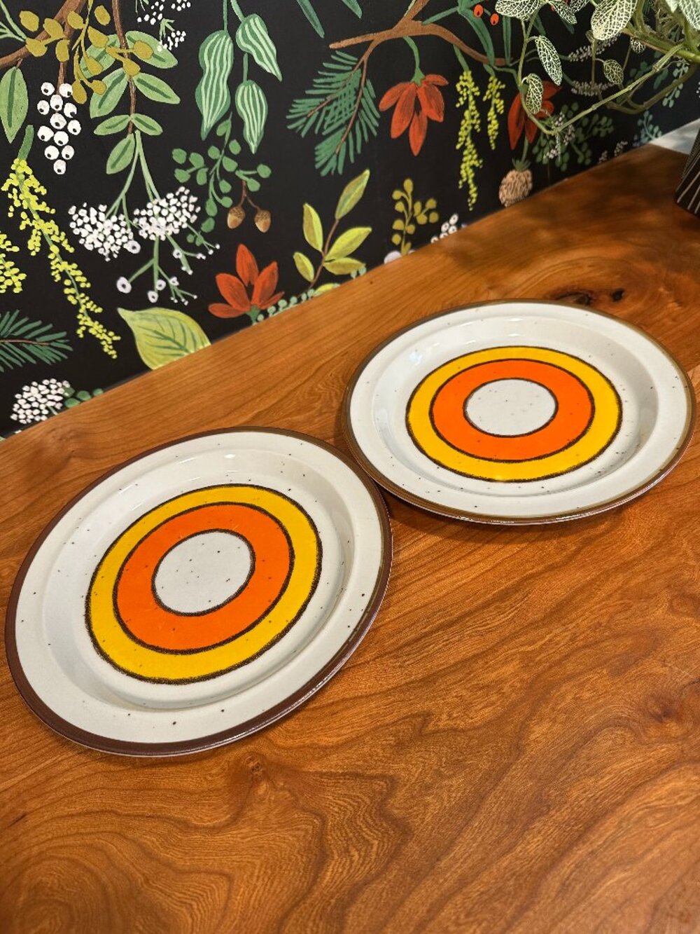 Vintage Hearthside Buffet Ware 9" Salad Plates - Set of 2 - 1970s MCM Bullseye